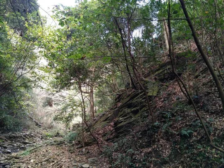 城际冰球交流赛 以球会友延续冰雪热情