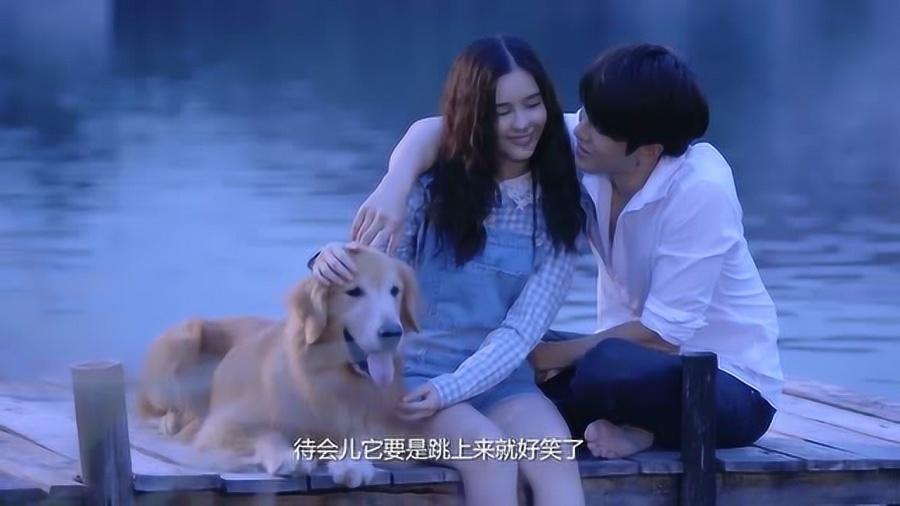 植物大战僵尸4